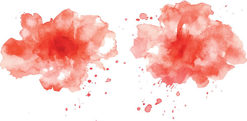 Poster - Red watercolor splash collection isolated on white background. Set of watercolor circles brash colorful watercolor on white background.