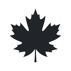 Poster - Simple black and white silhouette of a maple leaf