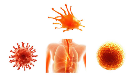 Poster - microscopic view of virus, bacteria, and antibody interacting with human respiratory system, illustr