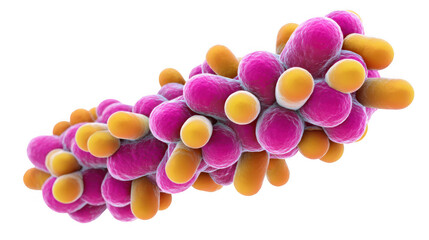 Poster - microscopic view of various bacteria and viruses interacting. forming a complex and potentially harm