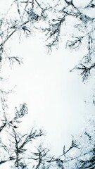 Poster - A serene winter scene featuring a dense forest with snow-covered trees