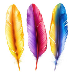 Poster - Brightly colored feathers in vibrant hues on a Transparent background showcasing natural textures and beauty, colorful feathers isolated on PNG background