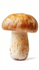 Poster - A single mushroom growing on a white surface, suitable for use in designs related to nature, food or fungi