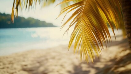 Wall Mural - A palm tree stands tall on a sandy beach near the ocean, with clear blue water and sun shining.