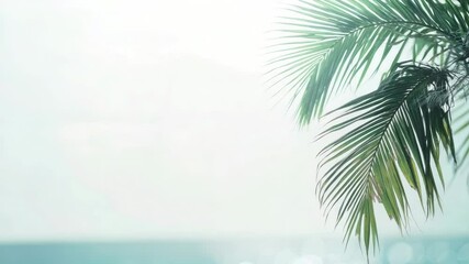 Wall Mural - A palm tree stands alone in front of the vast ocean, great for travel or beach themed designs.