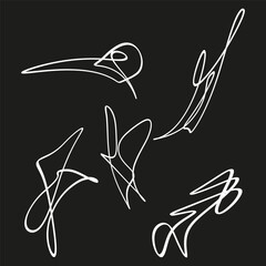 Poster - Smooth curve vector. White abstract lines. Chaotic flowing shapes. Black background layout.