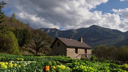 Poster - Stone cottage mountain garden with lush green vegetables, spring landscape, dramatic sky, peaceful scenic nature, vegetable field