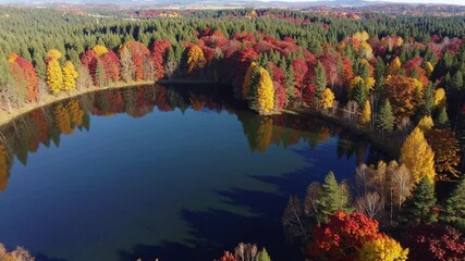 Aufkleber - Autumn lake forest reflection with colorful tree and nature landscape, tranquil serene peaceful water, seasonal outdoor scenic