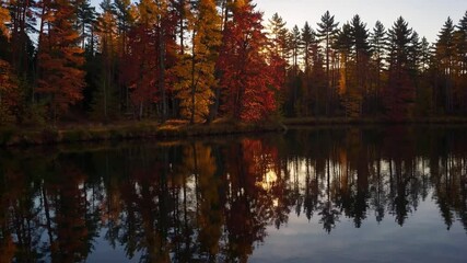 Poster - Autumn lakeside serenity reflection forest sunset colorful tranquil scene with vibrant foliage mirrored calm water, peaceful