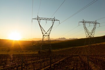 Poster - The evening electricity pylon silhouette