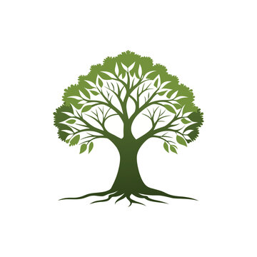 Natural Tree Logo Design