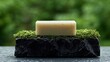 © AbdulSamad - Off-white bar of soap sits atop a dark stone pedestal, nestled in moss.  Soft, natural light highlights the soap. Blurred green background suggests an outdoor setting