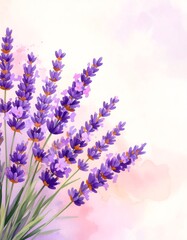 Poster - Cozy watercolor sketch of lavender flowers set against a peachy pink background artwork