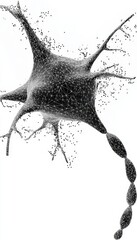 Poster - Detailed Low Poly Illustration of Isolated Neuron Structure on a Clean White Background, Science Art