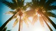 © Aitfatoul - Looking up at blue sky and palm trees, view from below, vintage style, tropical beach and summer background, travel concept , tree, summer, green, plant, leaf,