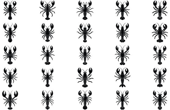 lobester fish vector