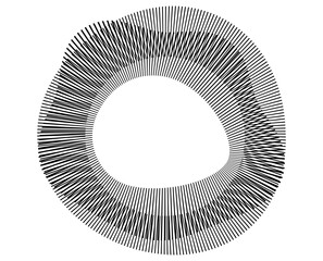 Poster - Radial Abstract Line Art in Blue – Circular Geometric Design Element for Technology, Certificates, and Modern Backgrounds