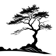  silhouette of a single wind-blown tree on a cliff edge