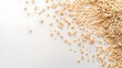 © Fonlinepix - Whole barley grains in beige and brown tones, scattered across a white background, highlighting their fine texture and shape.