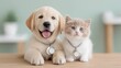 © Natalia S. - A Labrador puppy and a fluffy kitten sit side by side, both wearing metallic ID pendants, pet safety and companionship in a cozy home setting. Veterinary care, vet clinic pet