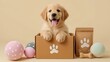 © Natalia S. - Happy golden retriever puppy sitting in a branded pet box with toys and treats around. Great for pet subscription services, delivery boxes or puppy-related branding