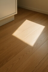 Poster - Natural light casts a sharp geometric shape on a smooth hardwood floor evoking clarity and focus in a modern space