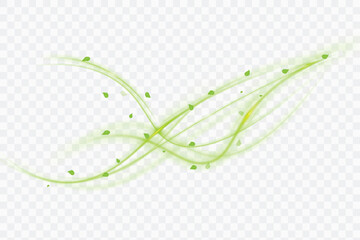 Poster - Bright green swirl with twisted leaves on transparent background. Vector effect on the topic: healthcare, ecology, medicine and sustainable development.