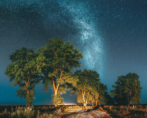 Wall Mural - Milky Way Galaxy In Night Starry Sky Above Tree In Summer Forest. Glowing Stars Above Landscape. Panorama