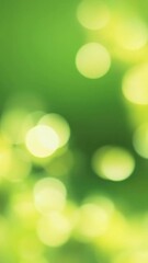 Poster - Green bokeh background blending blurred lights, creating dreamy atmosphere with soft, gentle texture and vibrant natural glow suggesting peaceful outdoor environment