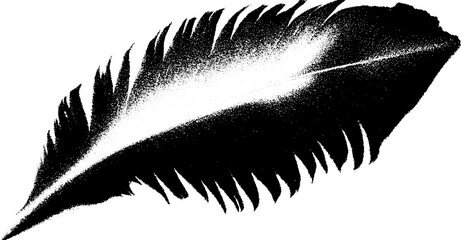 Poster - Artistic feather in high contrast black and white abstract design