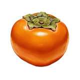 Vibrant Single Persimmon Fruit Illustration - Fresh, Ripe, and Juicy clipart watercolor png, isolated on transparent background