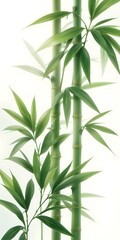 Poster - Gentle Bamboo Leaves Illustration, A Calming And Peaceful Natural Texture, Perfect For Backgrounds And Designs. Fresh Green Tones Provide A Relaxing And Organic Feeling.