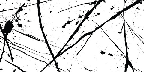 Poster - Abstract grunge splatter line pattern on white and transparent background. Abstract ink splatter pattern on a white background. Intricate designs of lines and dots in various sizes, creating a dynamic