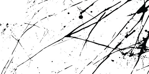 Poster - Abstract grunge splatter line pattern on white and transparent background. Abstract ink splatter pattern on a white background. Intricate designs of lines and dots in various sizes, creating a dynamic