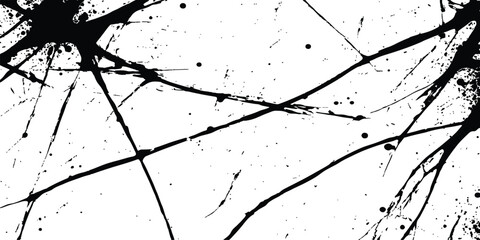 Poster - Abstract grunge splatter line pattern on white and transparent background. Abstract ink splatter pattern on a white background. Intricate designs of lines and dots in various sizes, creating a dynamic