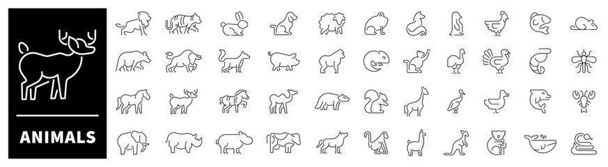 Poster - Animals line icons. Set of outline icons related to animals and pets. Animals thin line icons collection. Animal logo set