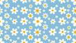 © Wishi - Seamless pattern of white flowers with yellow centers on a light blue background creates a cheerful design