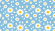 © Wishi - Seamless pattern of white daisies with yellow centers and white leaves on a light blue background