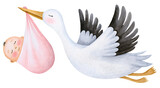 Watercolor stork carrying newborn baby girl on transparent background.