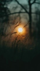 Poster - A beautiful sunset scene with the sun setting behind tall grass