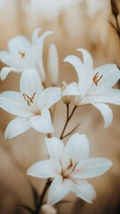 Poster - A group of white flowers sits atop a table, awaiting arrangement or display