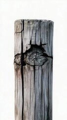 Poster - Close-up shot of a wooden post with a bird perched on top, great for nature or rustic-themed designs