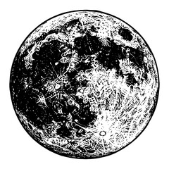 Wall Mural - highly detailed full moon celestial body black and white outline line art drawing engraved style