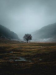 Poster - Foggy Landscape Reveals a Central Tree Amidst a Vast, Empty Field Under a Gray Sky at Dawn