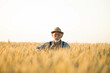 © Dejan - A content farmer rises from wheat stalks with a serene expression, capturing tranquility in the golden light of sunset.