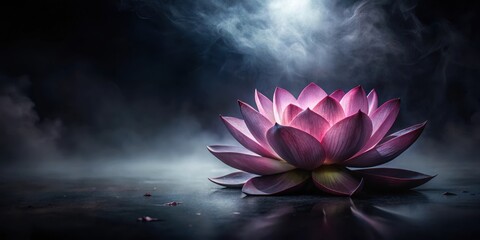 Wall Mural - Dark Lotus Flower in Shadowy Ambiance
