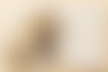 Fototapete - Abstract soft gradient blur background. Blur background with gradient smooth and soft. 