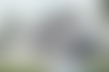 Fototapete - Abstract soft blue blur background with white light gradient color. Blur background with gradient smooth and soft. 