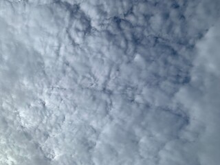 Wall Mural - The sky with many white clouds