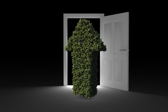 Topiary of arrow pointing upwards at doorway